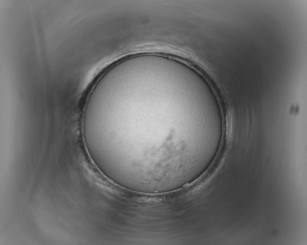 X0000111191501200907151336