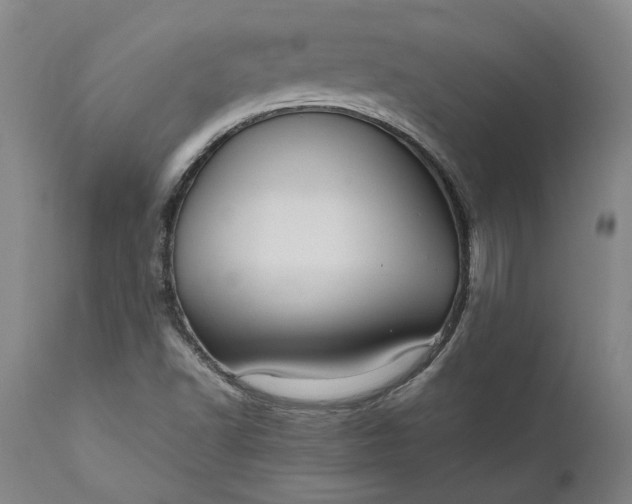 X0000111191502200907151336