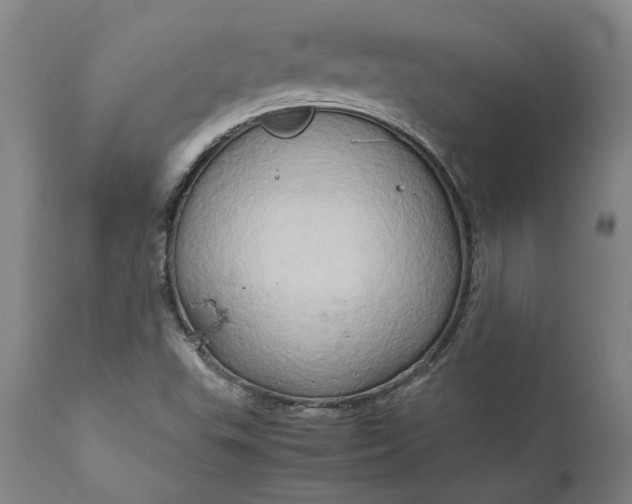 X0000111191503200907151336