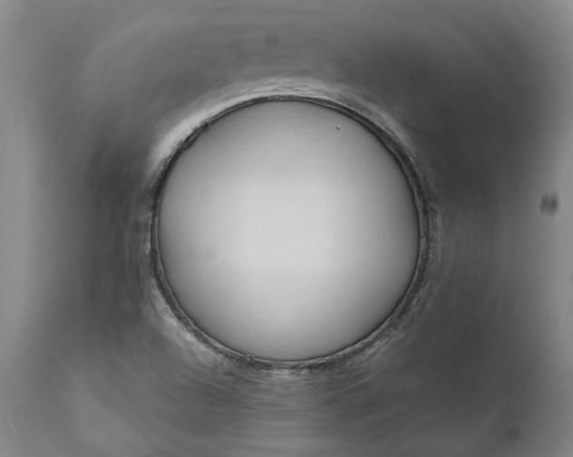 X0000111191504200907151336