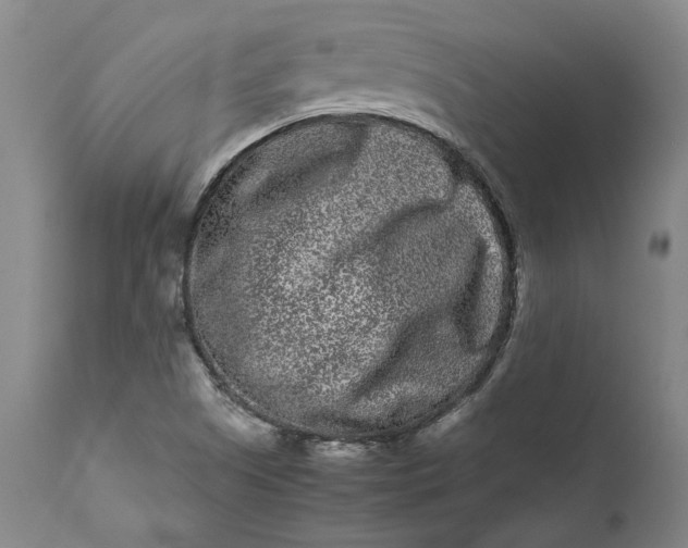 X0000111191505200907151336