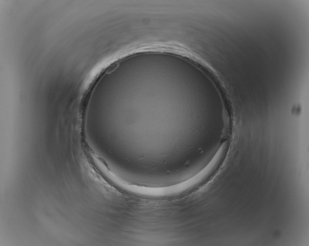 X0000111191506200907151336