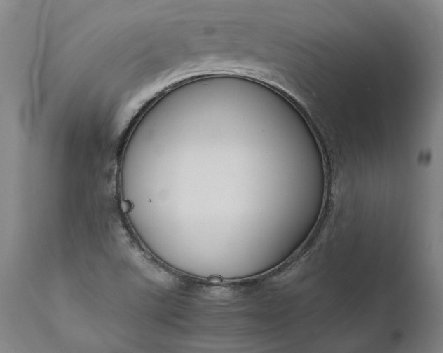 X0000111191507200907151336