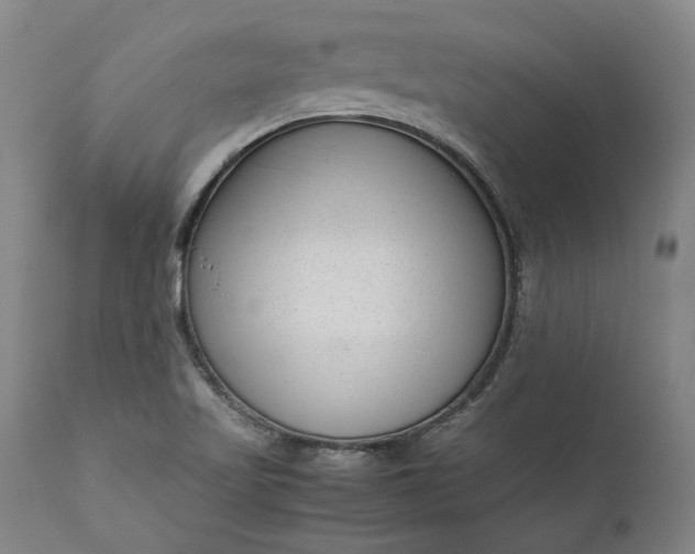 X0000111191509200907151336