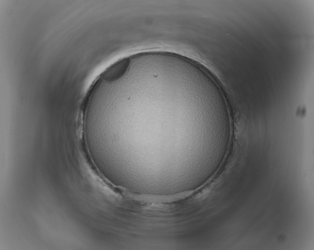 X0000111191510200907151336