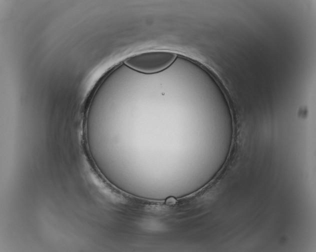 X0000111191511200907151336