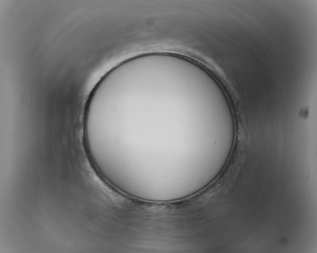 X0000111191512200907151336