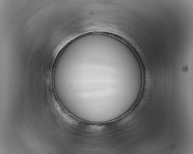 X0000111191513200907151336