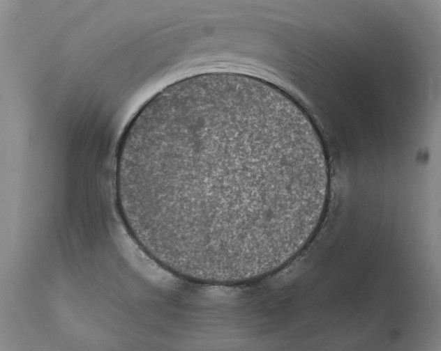 X0000111191514200907151336