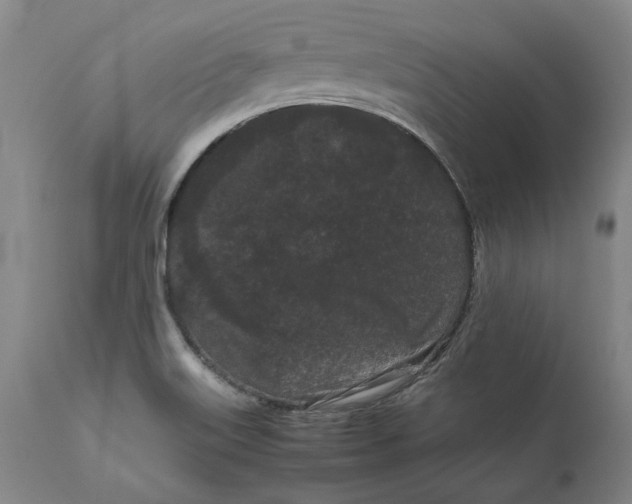 X0000111191515200907151336