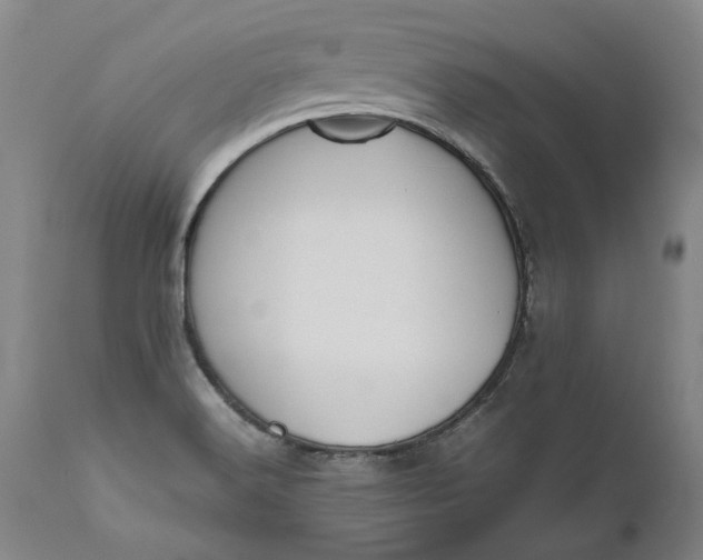 X0000111191516200907151336