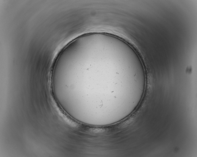 X0000111191517200907151336