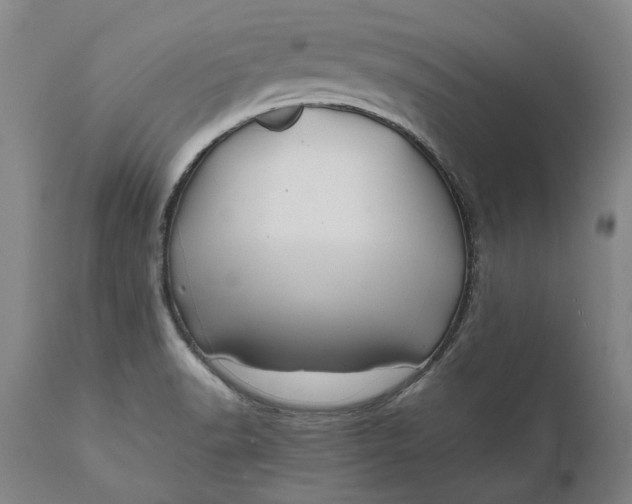 X0000111191518200907151336