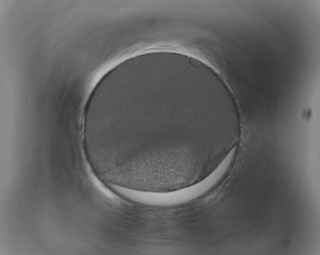 X0000111191519200907151336