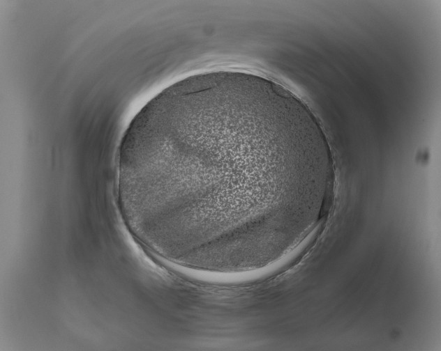 X0000111191520200907151336