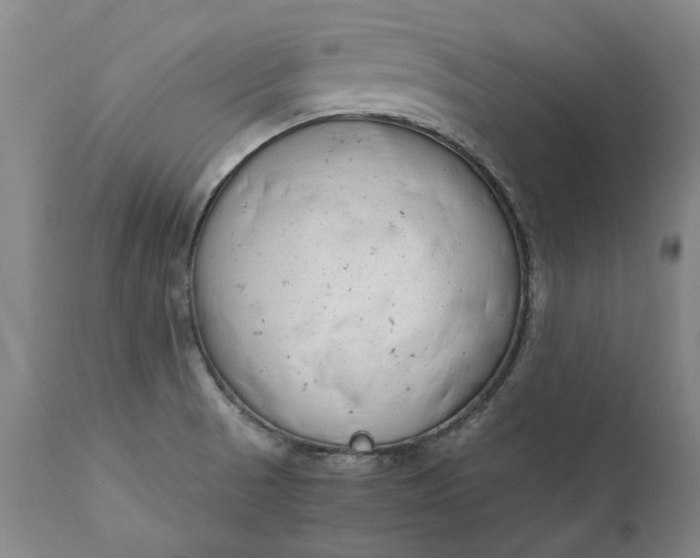 X0000111191521200907151336