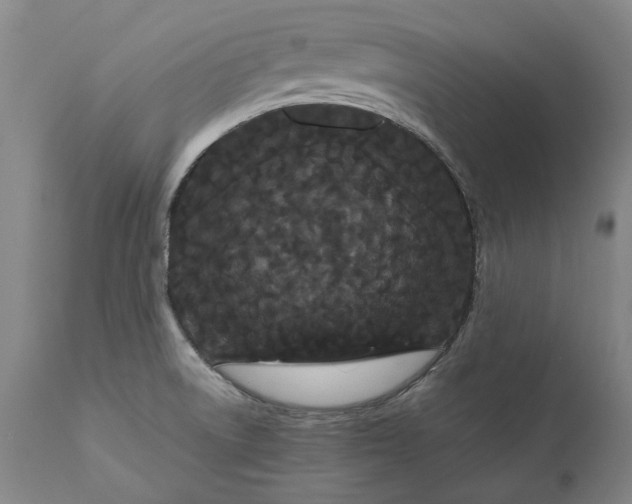 X0000111191522200907151336