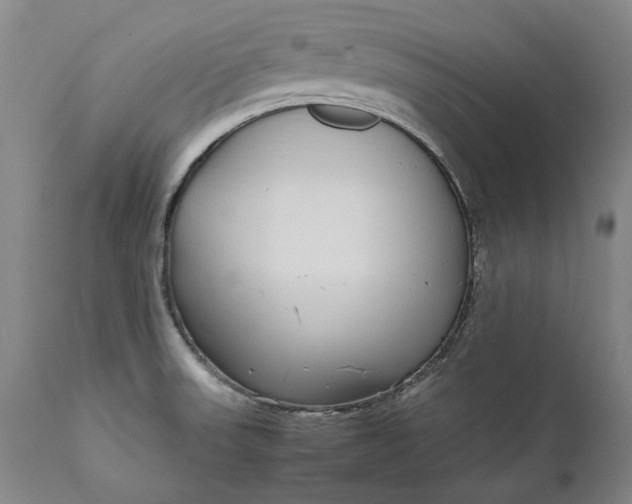 X0000111191523200907151336