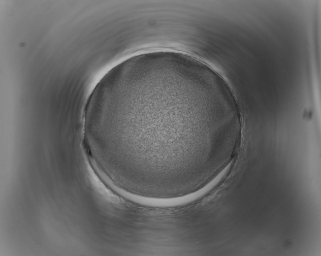 X0000111191524200907151336