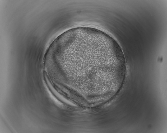 X0000111191525200907151336