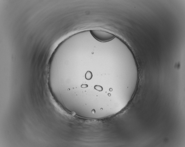 X0000111191526200907151336