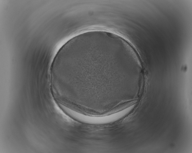 X0000111191527200907151336