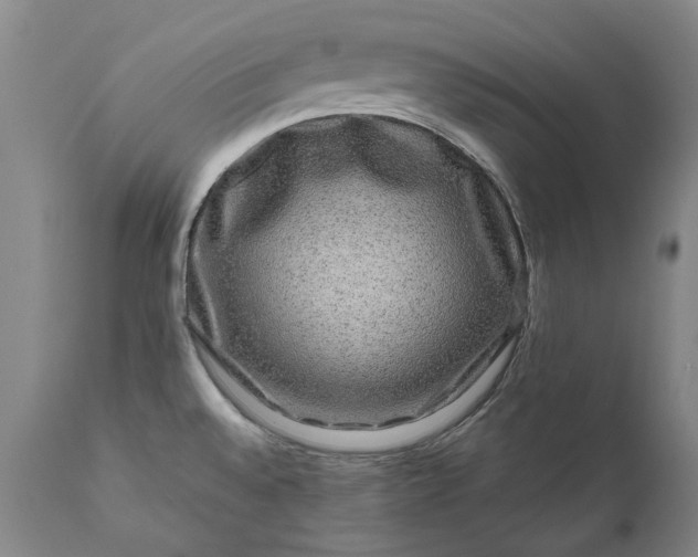 X0000111191528200907151336