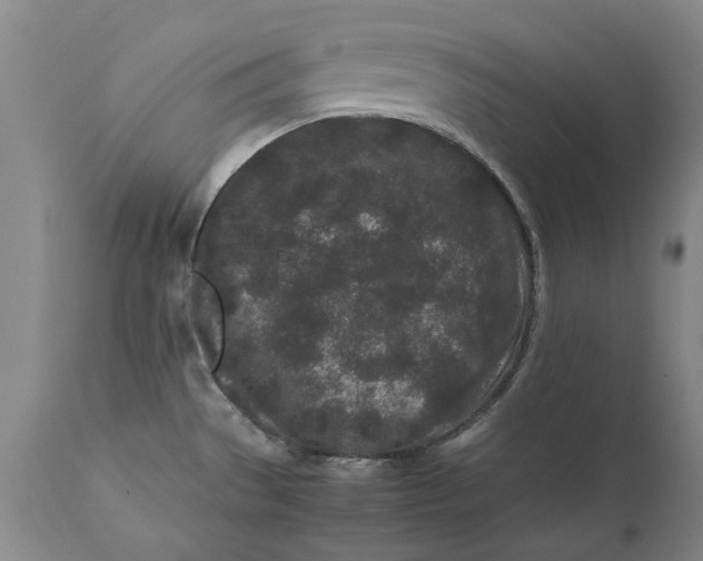 X0000111191529200907151336