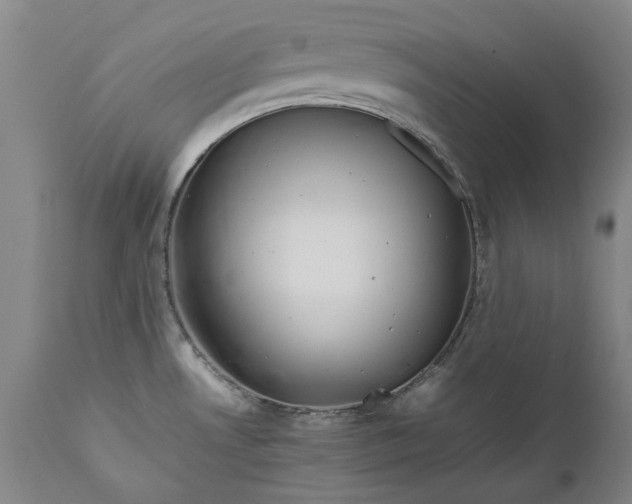 X0000111191530200907151336