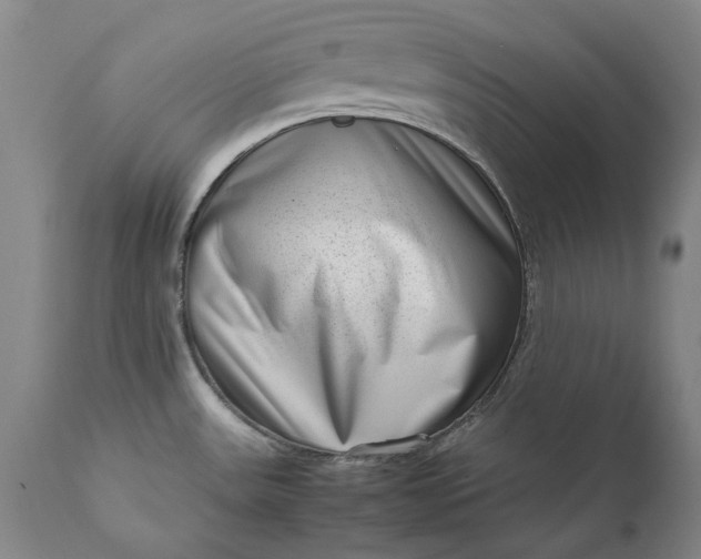 X0000111191531200907151336