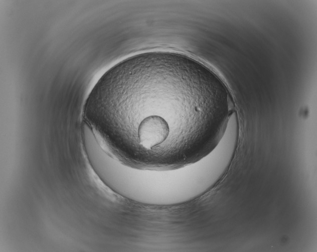 X0000111191532200907151336