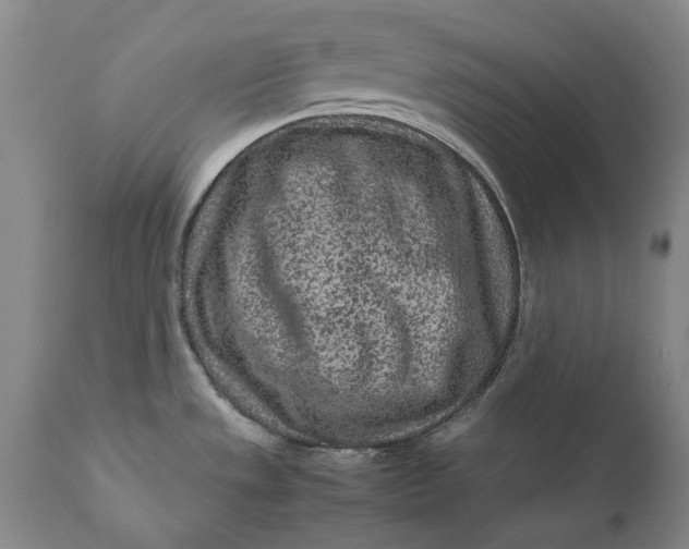 X0000111191533200907151336