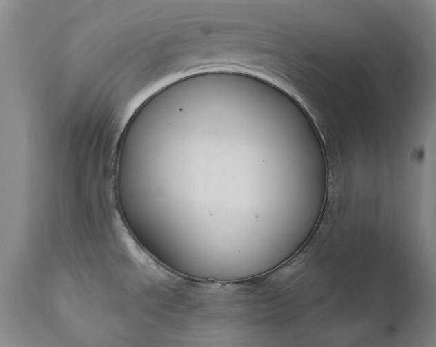 X0000111191534200907151336