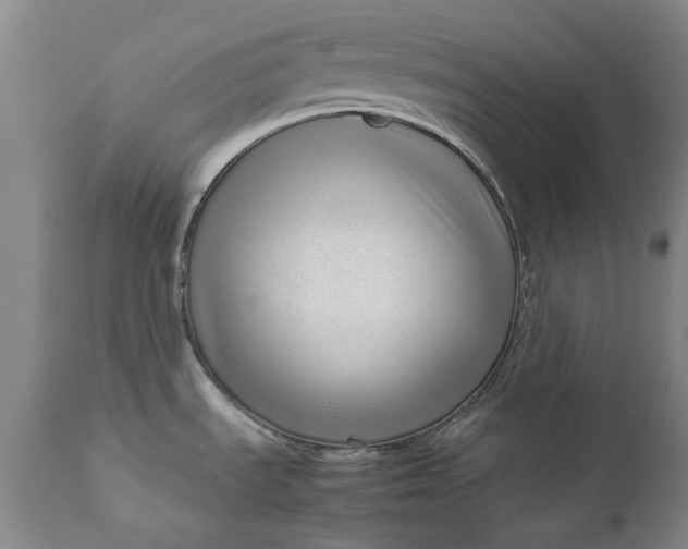 X0000111191535200907151336