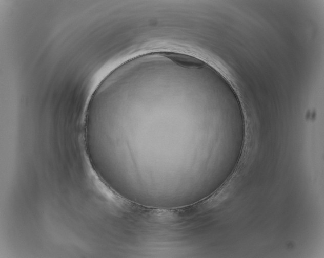 X0000111191536200907151336