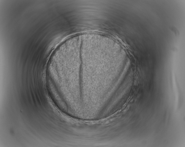 X0000111190002200907221119