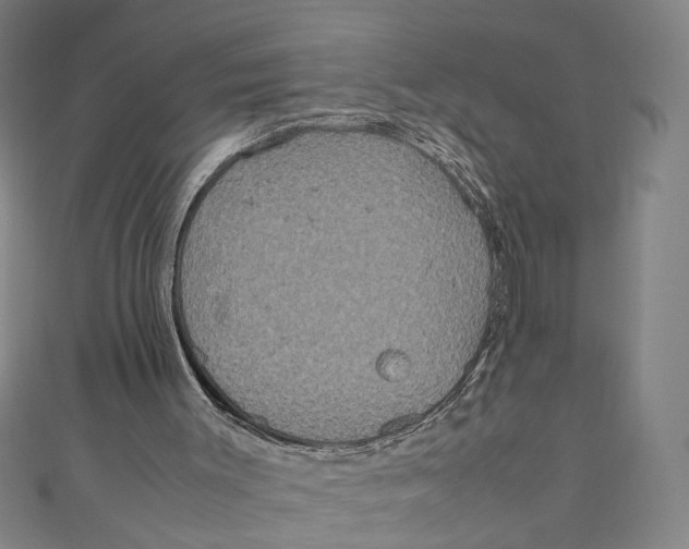 X0000111190003200907221119