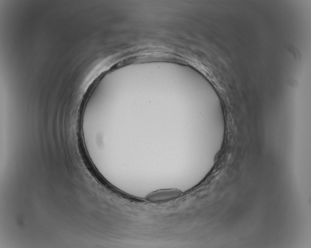 X0000111190007200907221119