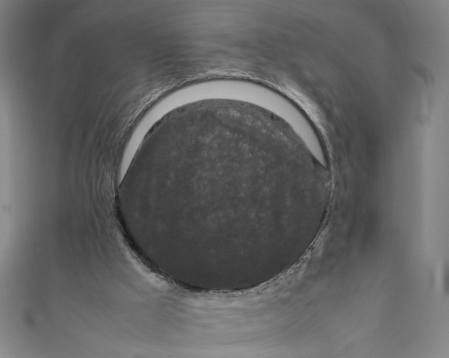 X0000111190009200907221119