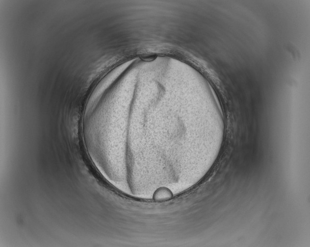 X0000111190010200907221119