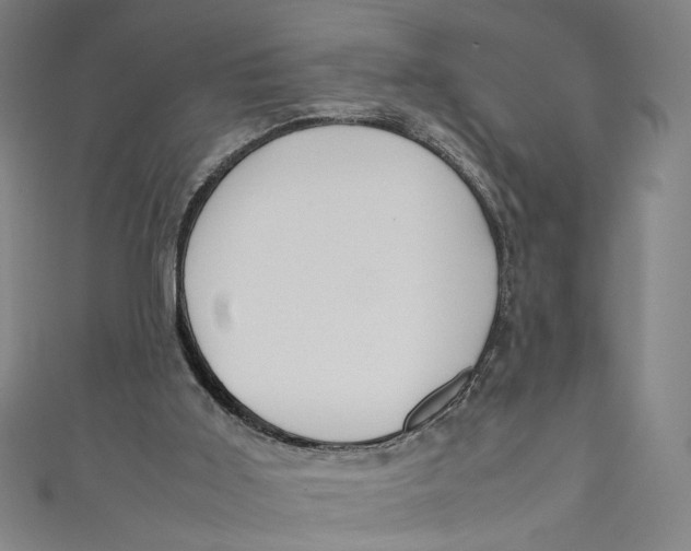 X0000111190011200907221119