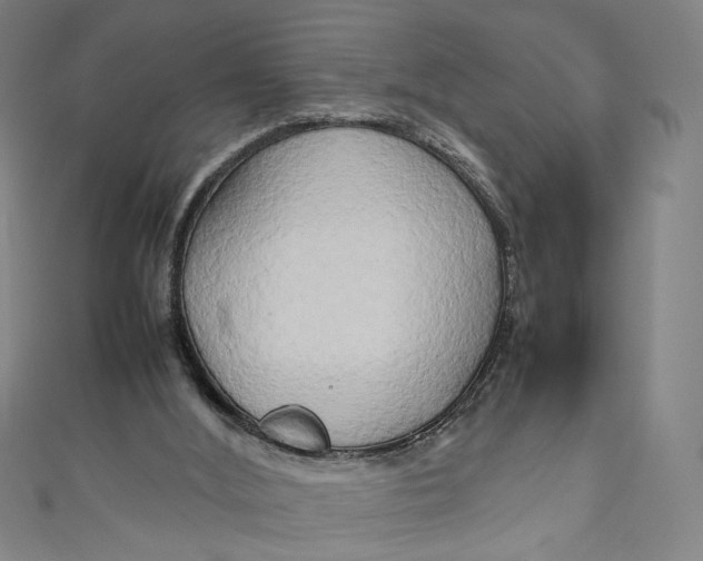 X0000111190012200907221119