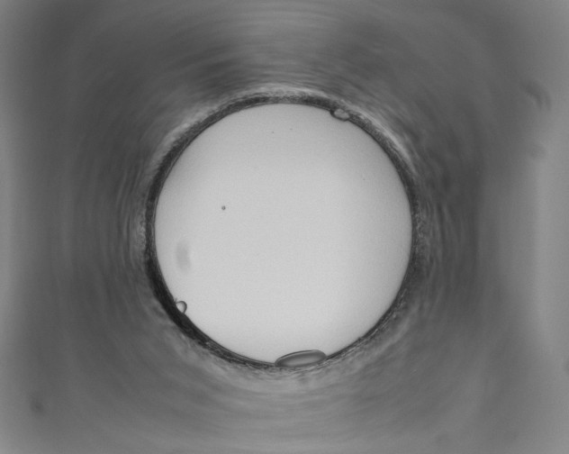 X0000111190015200907221119