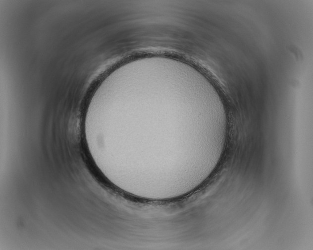 X0000111190016200907221119