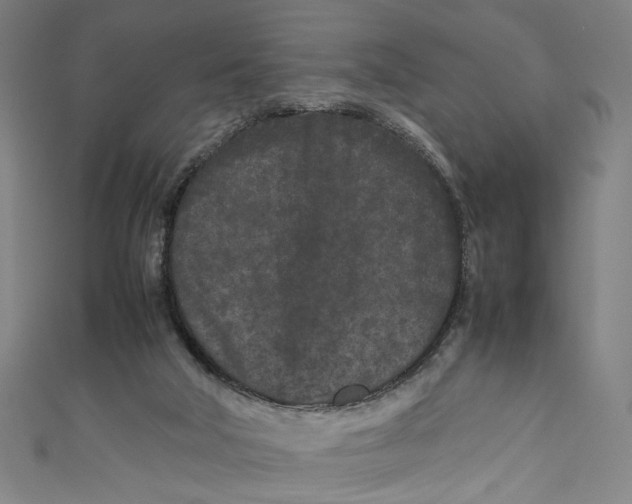 X0000111190018200907221119