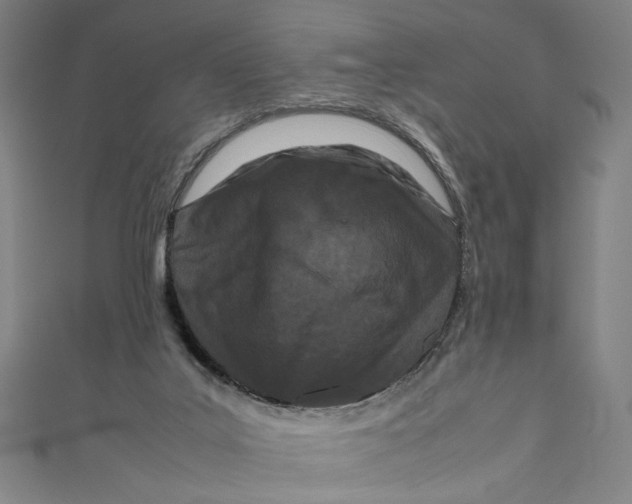 X0000111190019200907221119