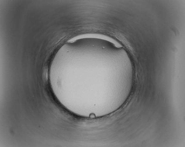 X0000111190021200907221119