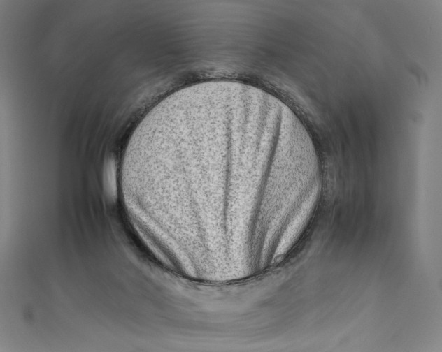 X0000111190022200907221118