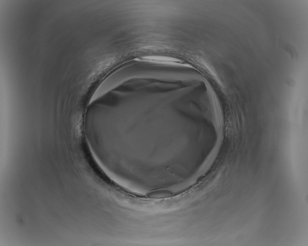 X0000111190023200907221118