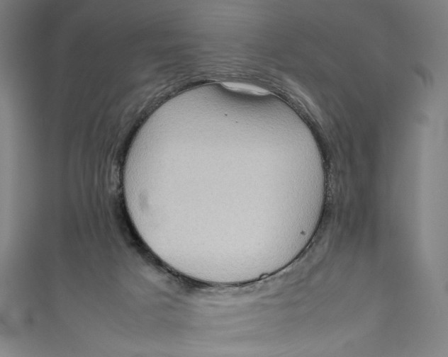 X0000111190025200907221118